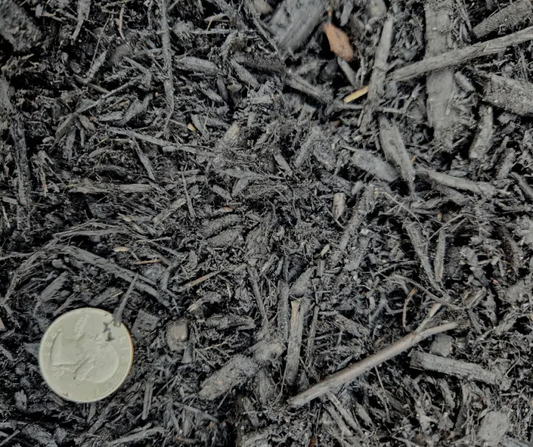 Black Mulch