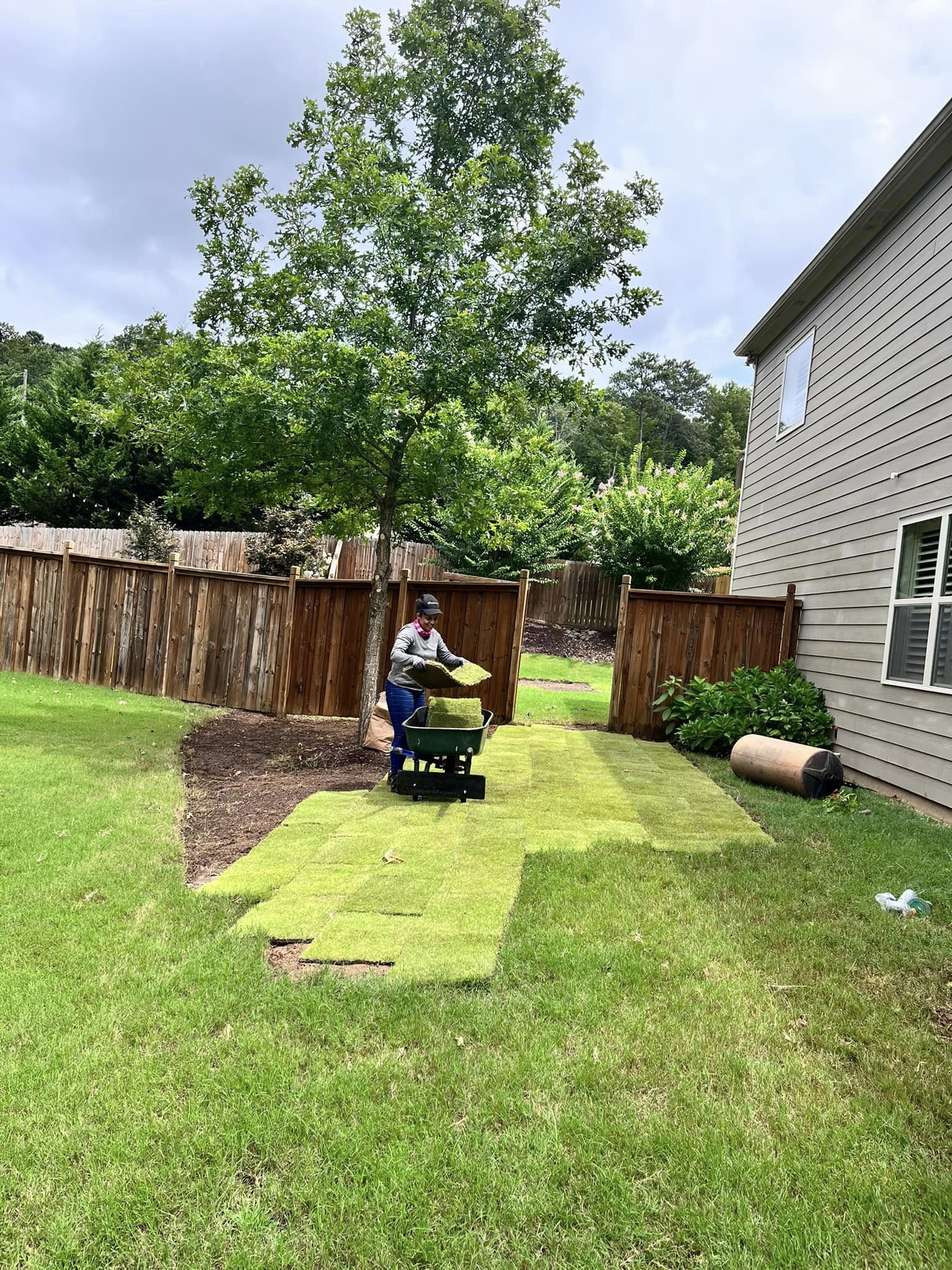Meyer Zoysia