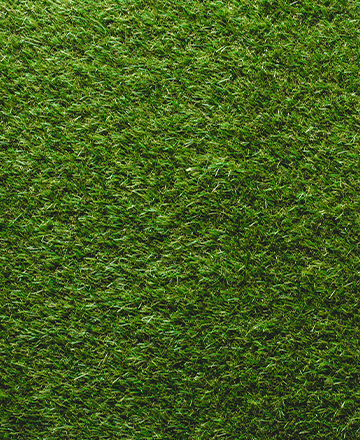 Bermuda Sod