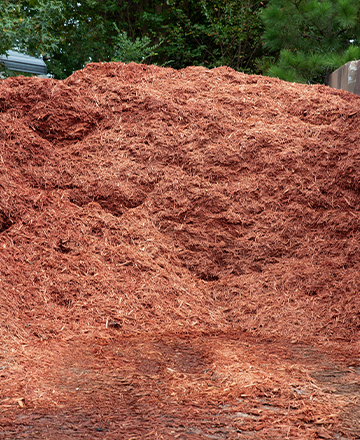 Red Mulch