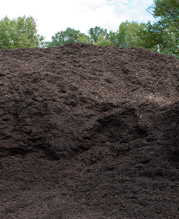 Dark Brown Mulch