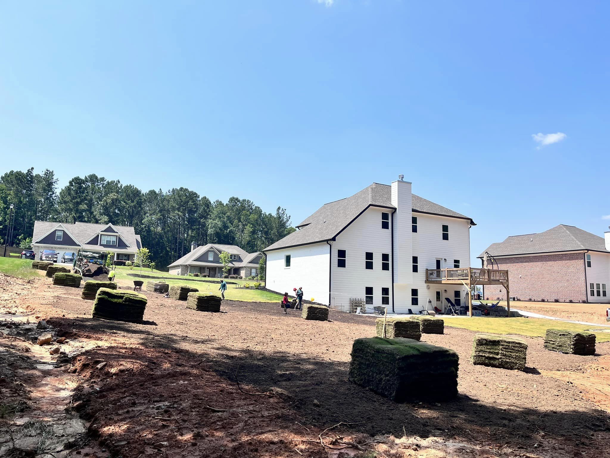 Zeon Zoysia Sod - Pallet