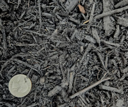 Black Mulch