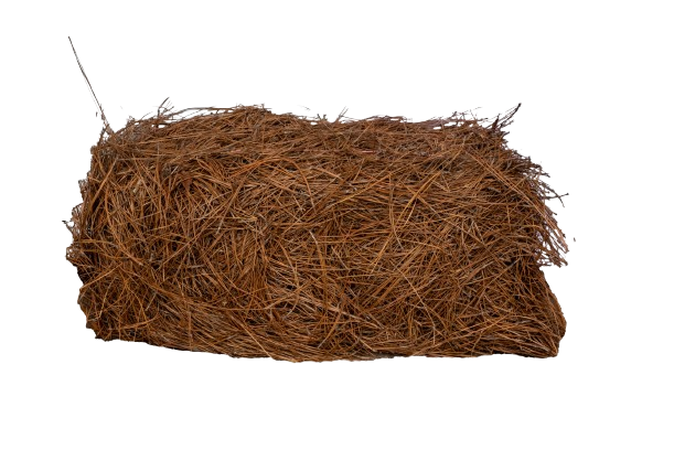 Long Needle PineStraw
