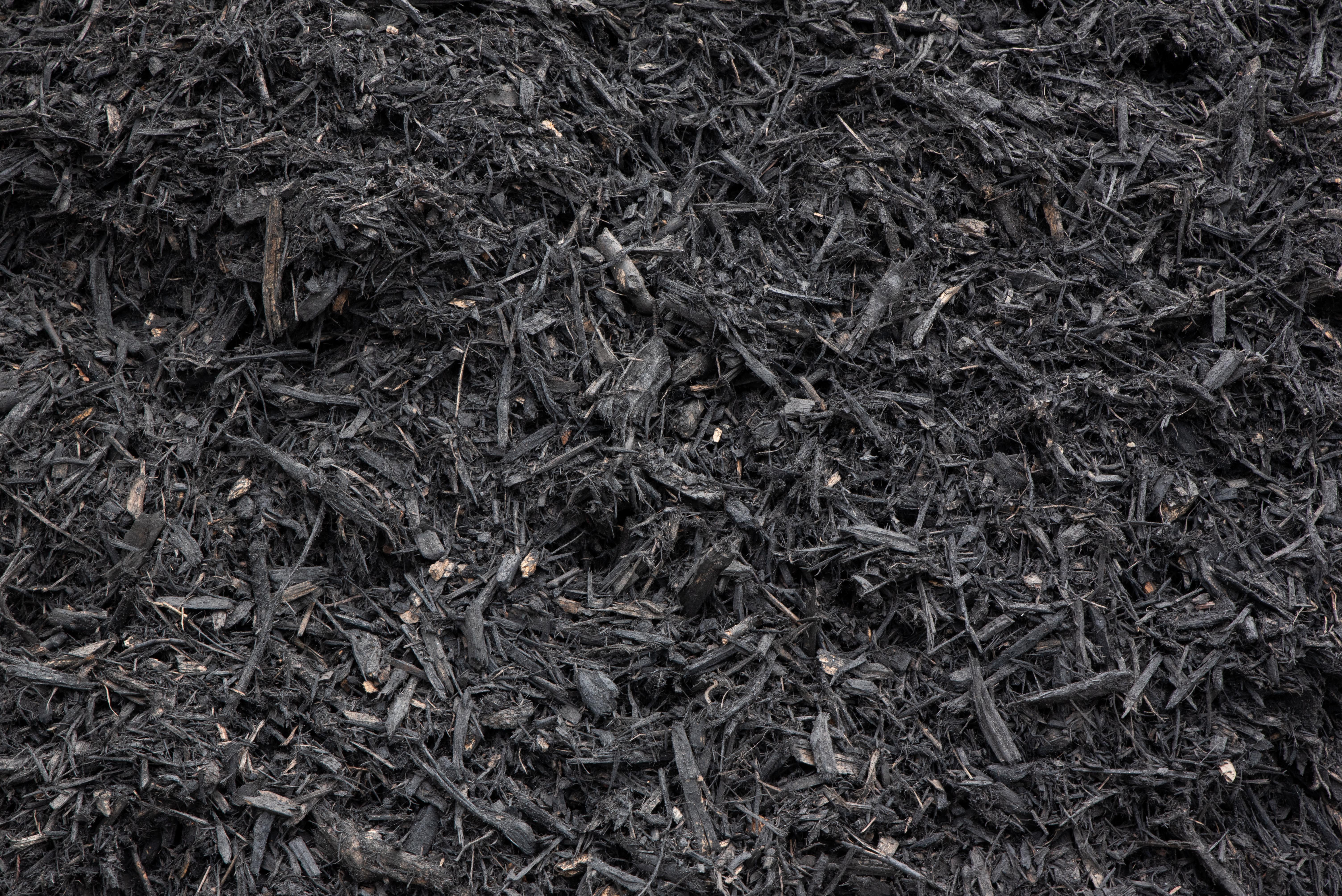 Black Mulch