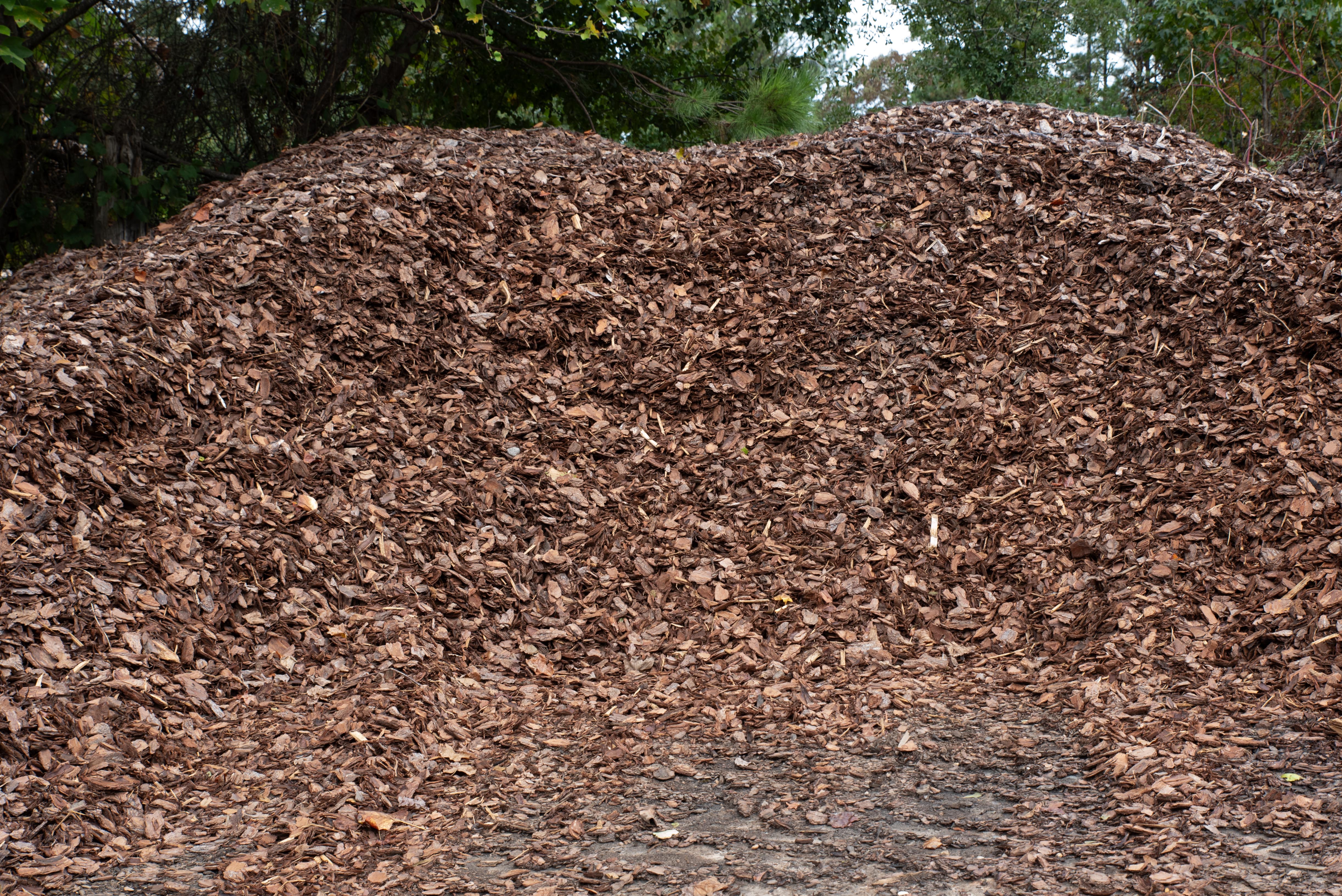 Pine Bark Large Nuggets 