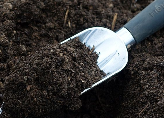 Top Dressing 