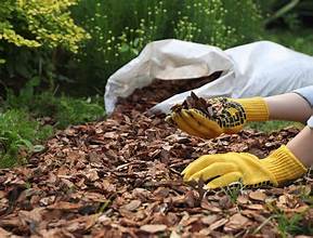 The Top 5 Benefits of Mulching