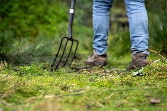 How to Maintain a Healthy Lawn 