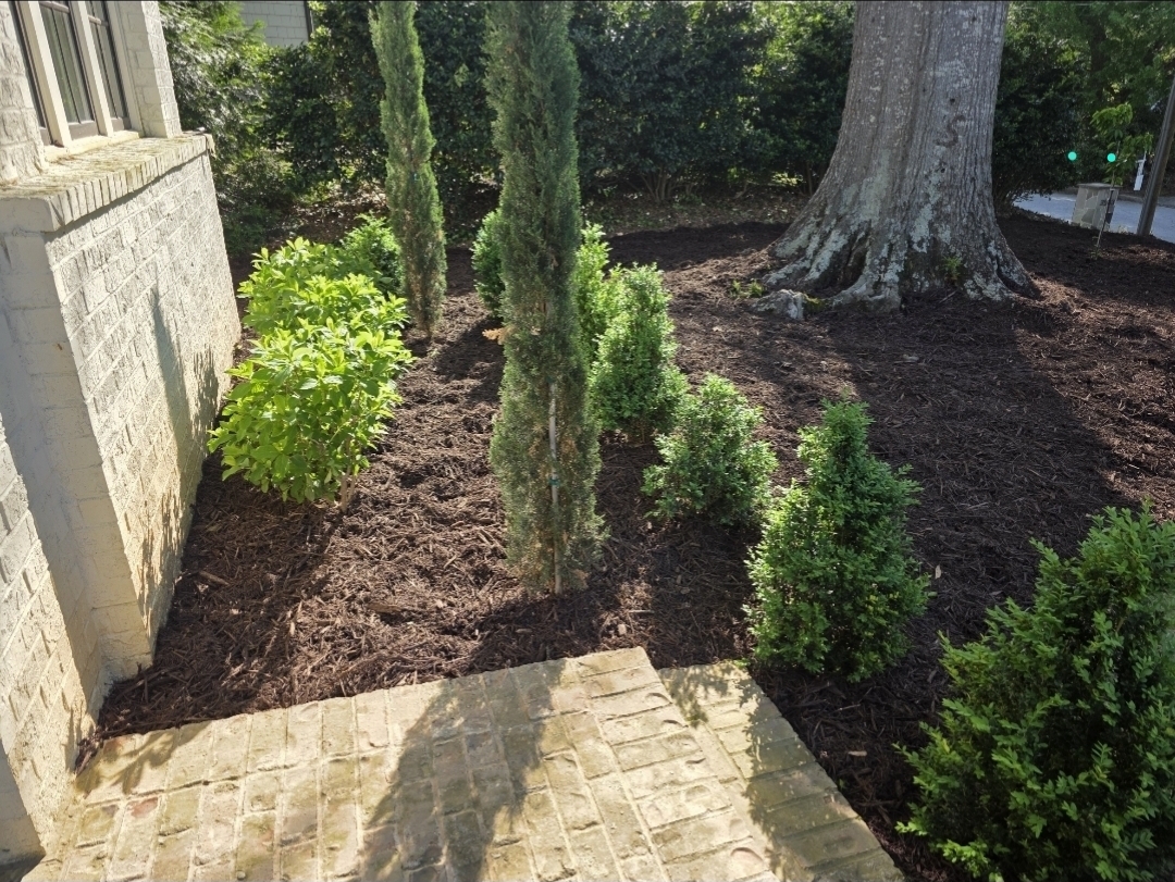 Installation - Mulch / Pinestraw